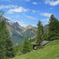 Almhütte in Südtirol Image